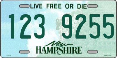 NH license plate 1239255