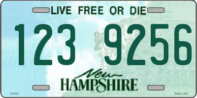NH license plate 1239256