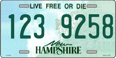 NH license plate 1239258