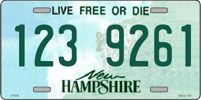 NH license plate 1239261