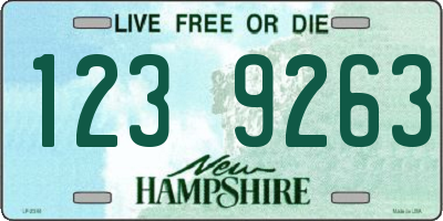 NH license plate 1239263