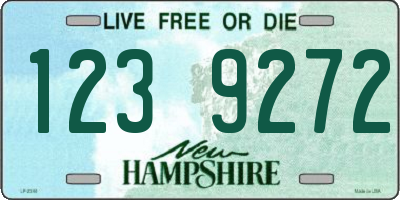 NH license plate 1239272