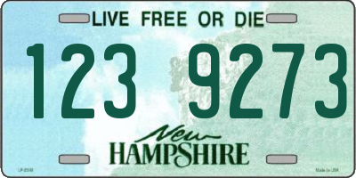 NH license plate 1239273