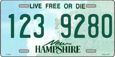 NH license plate 1239280