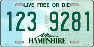 NH license plate 1239281