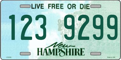 NH license plate 1239299