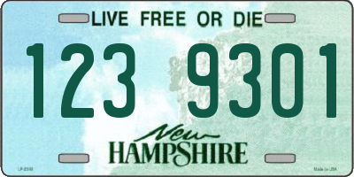 NH license plate 1239301
