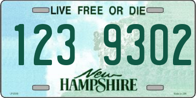 NH license plate 1239302