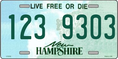 NH license plate 1239303