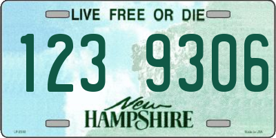 NH license plate 1239306