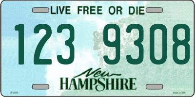 NH license plate 1239308