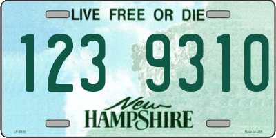 NH license plate 1239310