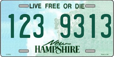 NH license plate 1239313