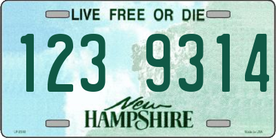 NH license plate 1239314