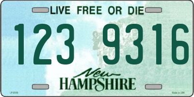 NH license plate 1239316