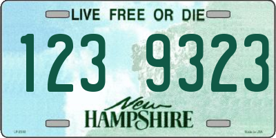 NH license plate 1239323