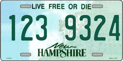 NH license plate 1239324