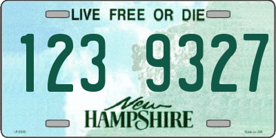 NH license plate 1239327