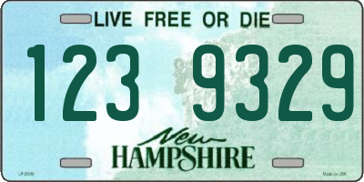 NH license plate 1239329
