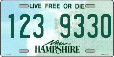 NH license plate 1239330