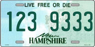 NH license plate 1239333