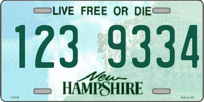 NH license plate 1239334
