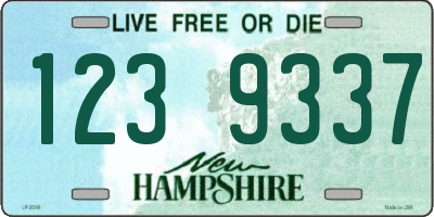 NH license plate 1239337