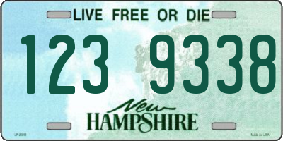 NH license plate 1239338