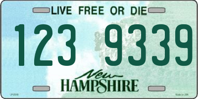 NH license plate 1239339