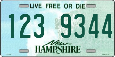 NH license plate 1239344