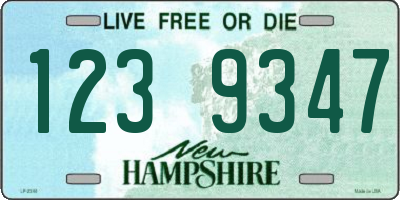 NH license plate 1239347