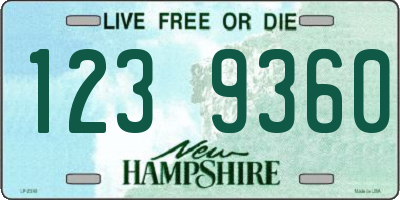 NH license plate 1239360