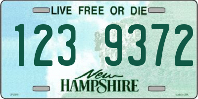 NH license plate 1239372