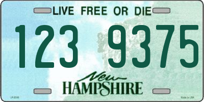 NH license plate 1239375