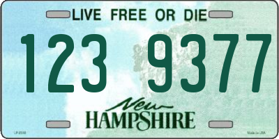 NH license plate 1239377