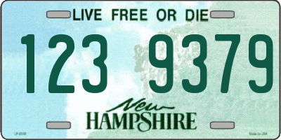 NH license plate 1239379