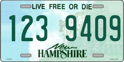 NH license plate 1239409