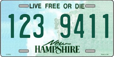NH license plate 1239411