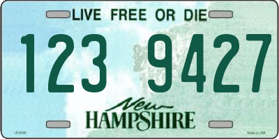 NH license plate 1239427