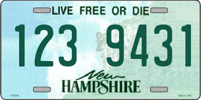 NH license plate 1239431