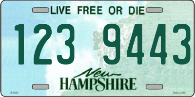 NH license plate 1239443