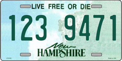 NH license plate 1239471