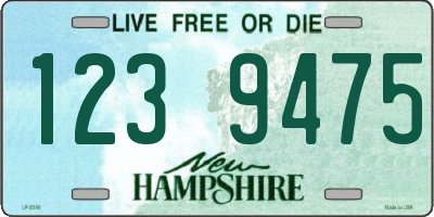 NH license plate 1239475