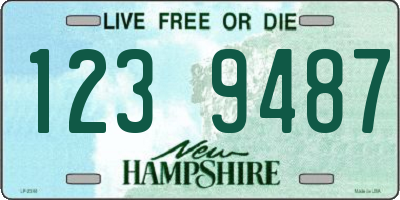 NH license plate 1239487