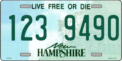 NH license plate 1239490