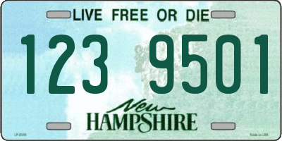 NH license plate 1239501
