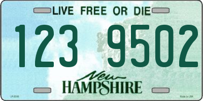 NH license plate 1239502