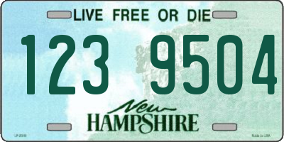 NH license plate 1239504