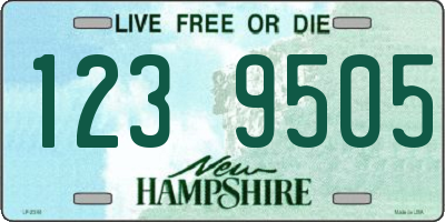 NH license plate 1239505