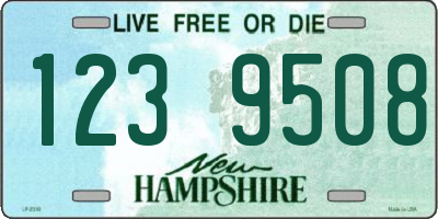 NH license plate 1239508